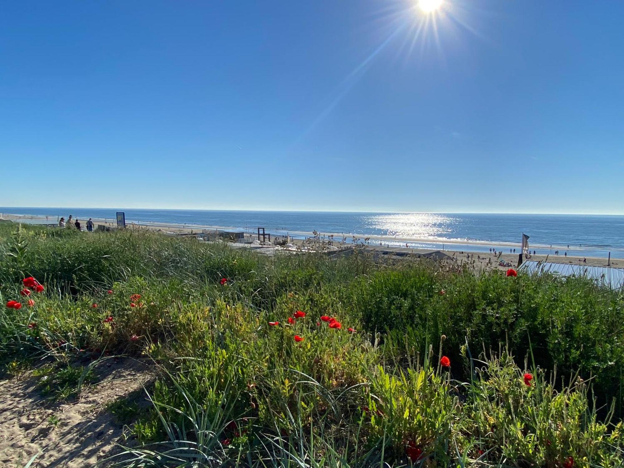 Maison Rue De La Mer Zandvoort Esterno foto